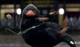 神奇动物四月爆料视频,神秘生物齐聚，魔法世界再掀波澜